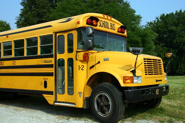 Bus